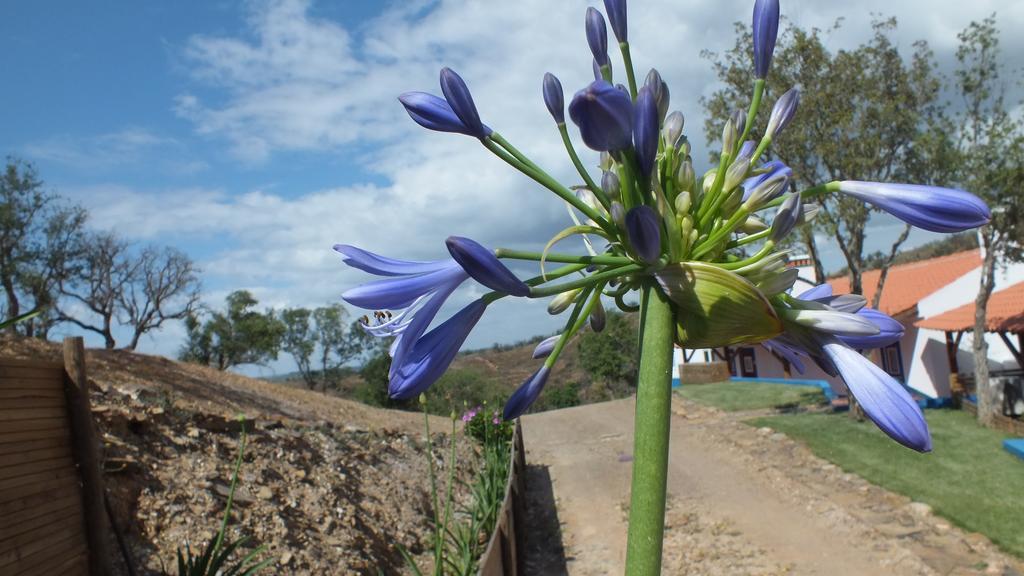 Monte Corgo Da Vaca Villa Sabóia Kültér fotó